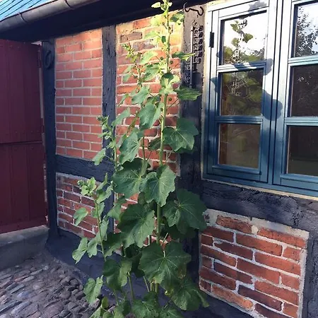 Gæstehus Zira *